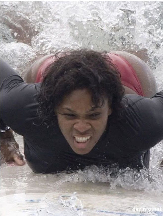 YOU ARE NOT READY FOR THIS, SO DON’T WATCH. Serena Williams slips while surfing and fans can’t stop rewatching the video of those big melons swinging to hit the water as her rear wildly jiggles the moment she hit the water, this clip is a tsunami of hot bouncing jelly