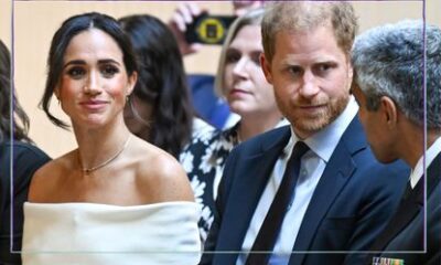 The Duke and Duchess of Sussex have thrown themselves into the spotlight this year with the launch of several new business endeavours and a shake-up to their image; Prince Harry and Meghan Markle's 'bitterness' caused 'severe rifts' with Royal Family