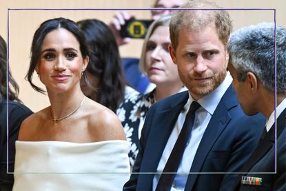 The Duke and Duchess of Sussex have thrown themselves into the spotlight this year with the launch of several new business endeavours and a shake-up to their image; Prince Harry and Meghan Markle's 'bitterness' caused 'severe rifts' with Royal Family