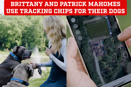 WATCH: Brittany and Patrick Mahomes decide to use tracking chips in their dogs and share the process on video