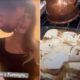 Travis Kelce sheds light on Taylor Swift's cooking skills, keeps favorite meals private: Travis Kelce and Taylor Swift were spotted in a YouTube Shorts clip in the kitchen