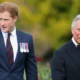 The Duke of Sussex's fans were surprised at how harsh the nickname 'Spare' was when it was divulged. Now he has revealed just how he got it. In a newly-resurfaced excerpt from the book, Prince Harry discussed his relationship with his father King Charles.